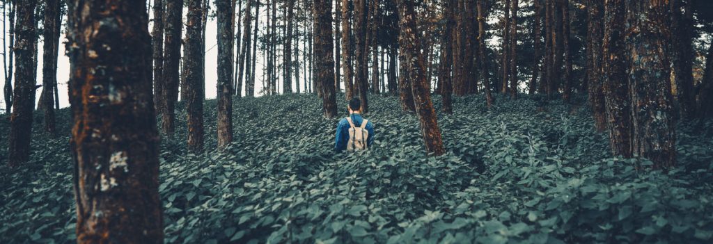 Couv survieRésumé - NATUR'O TOP