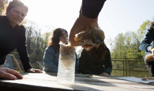 bushcraft survie filtration de l'eau