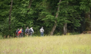stage de survie orientation (1)Perdu en pleine forêt ? - NATUR'O TOP