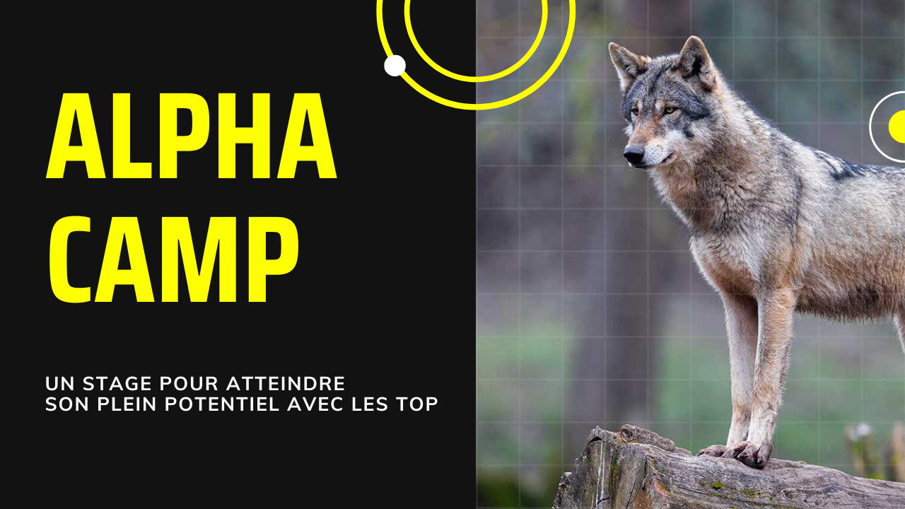 Techniques d&rsquo;optimisation du potentiel alpha campALPHA CAMP - NATUR'O TOP