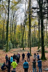 techniques_d&rsquo;optimisation_du_potentiel_TOP_Rennes (5)Accueil-NATUR'O TOP